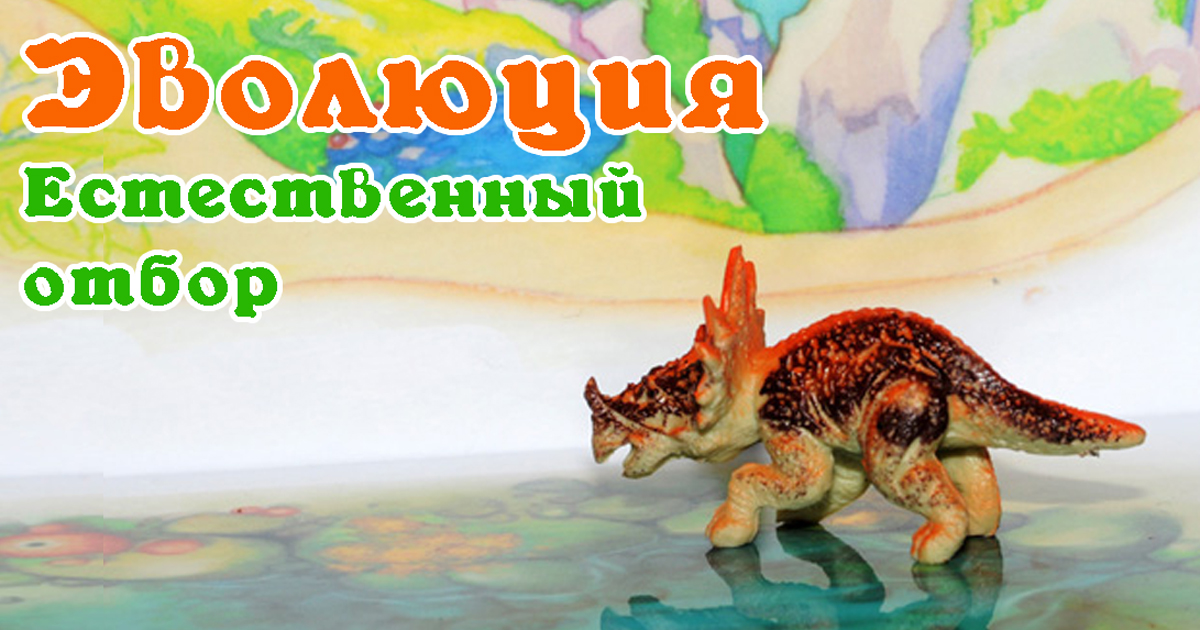 Настольная игра Эволюция. Естественный отбор (ПнП) АНАЛОГ - купить ...